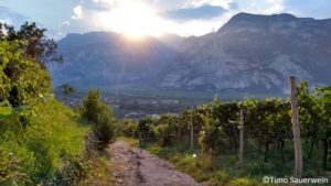 Bioweinbau in Südtirol – steile Berge, mutige Winzer und ganz viel Leidenschaft