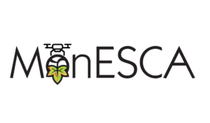 umfrage Bedeutung von ESCA in der Großregion